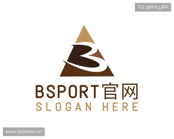 解读bsport官网